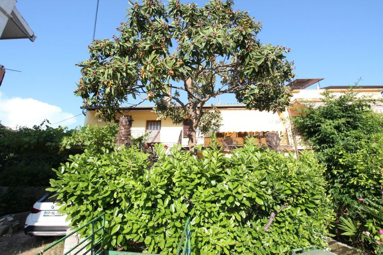 Apartment Agnese Rovinj Bagian luar foto